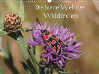 Die bunte Welt der Widderchen